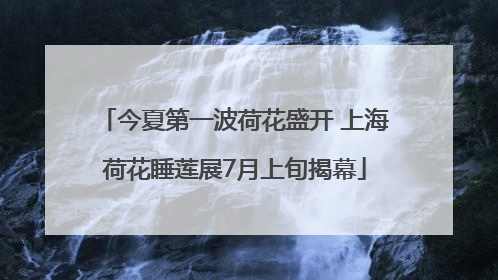 今夏第一波荷花盛开 上海荷花睡莲展7月上旬揭幕