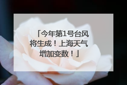 今年第1号台风将生成！上海天气增加变数！
