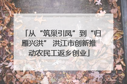从“筑巢引凤”到“归雁兴洪” 洪江市创新推动农民工返乡创业