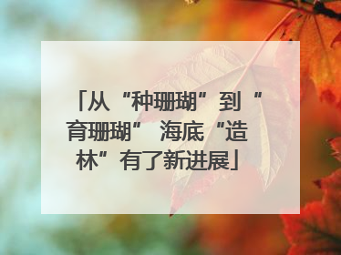 从“种珊瑚”到“育珊瑚” 海底“造林”有了新进展