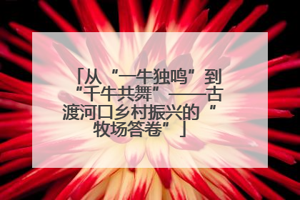 从“一牛独鸣”到“千牛共舞”——古渡河口乡村振兴的“牧场答卷”