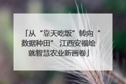 从“靠天吃饭”转向“数据种田” 江西安福绘就智慧农业新画卷