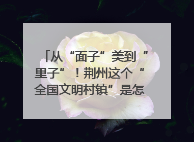 从“面子”美到“里子”！荆州这个“全国文明村镇”是怎样炼成的？