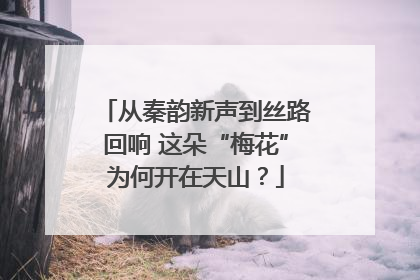 从秦韵新声到丝路回响 这朵“梅花”为何开在天山？