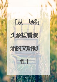 从一场街头救援看溆浦的文明韧性