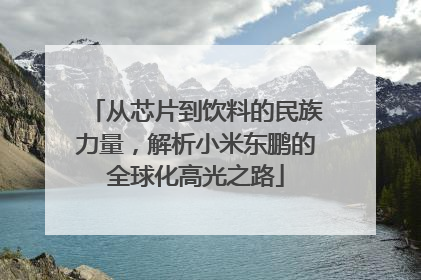 从芯片到饮料的民族力量，解析小米东鹏的全球化高光之路