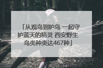 从观鸟到护鸟 一起守护蓝天的精灵 西安野生鸟类种类达467种