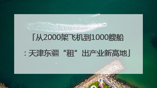从2000架飞机到1000艘船：天津东疆“租”出产业新高地