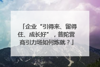 企业“引得来、留得住、成长好”，普陀营商引力场如何炼就？