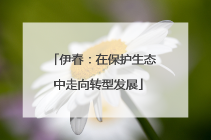 伊春：在保护生态中走向转型发展