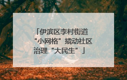 伊滨区李村街道 “小网格”撬动社区治理“大民生”