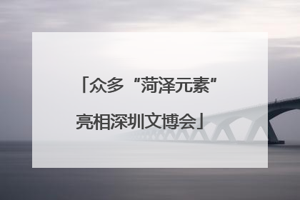 众多“菏泽元素”亮相深圳文博会