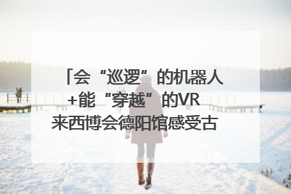 会“巡逻”的机器人+能“穿越”的VR 来西博会德阳馆感受古蜀文明与现代智造的时空对话｜西博视界