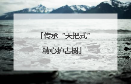 传承“天把式” 精心护古树