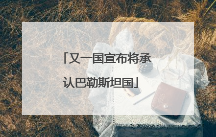 又一国宣布将承认巴勒斯坦国