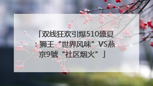 双线狂欢引爆510盛夏：狮王“世界风味”VS燕京9號“社区烟火”
