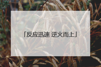 反应迅速 逆火而上