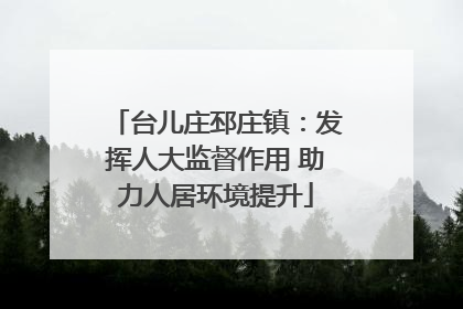 台儿庄邳庄镇：发挥人大监督作用 助力人居环境提升