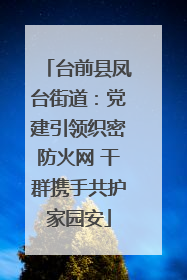台前县凤台街道：党建引领织密防火网 干群携手共护家园安