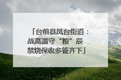 台前县凤台街道：战高温守“粮”辰 禁烧保收多管齐下