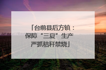 台前县后方镇：保障“三夏”生产 严抓秸秆禁烧