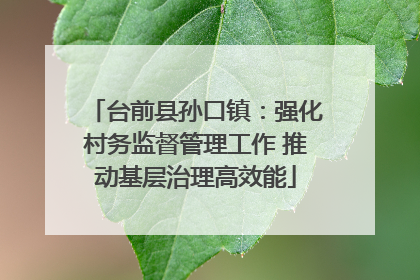 台前县孙口镇：强化村务监督管理工作 推动基层治理高效能