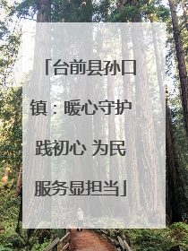 台前县孙口镇：暖心守护践初心 为民服务显担当