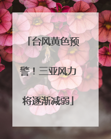 台风黄色预警！三亚风力将逐渐减弱