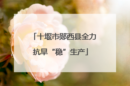 十堰市郧西县全力抗旱“稳”生产