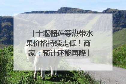 十堰榴莲等热带水果价格持续走低！商家：预计还能再降