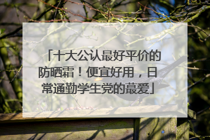 十大公认最好平价的防晒霜！便宜好用，日常通勤学生党的蕞爱