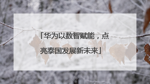华为以数智赋能，点亮泰国发展新未来