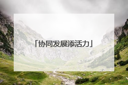 协同发展添活力
