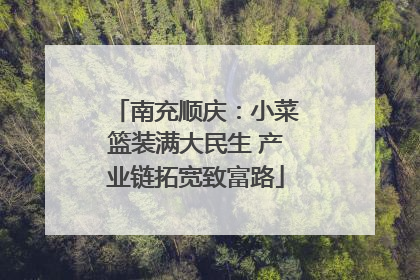 南充顺庆：小菜篮装满大民生 产业链拓宽致富路