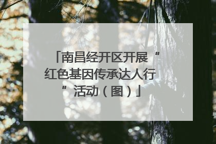 南昌经开区开展“红色基因传承达人行”活动（图）