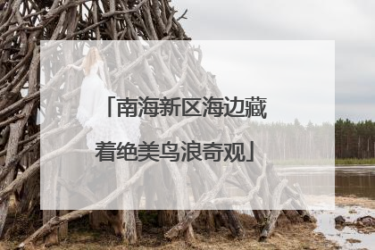 南海新区海边藏着绝美鸟浪奇观