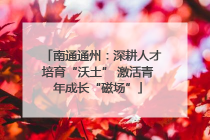 南通通州：深耕人才培育“沃土” 激活青年成长“磁场”