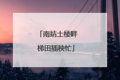 南靖土楼畔 梯田插秧忙