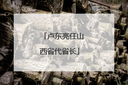 卢东亮任山西省代省长