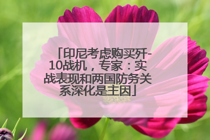 印尼考虑购买歼-10战机，专家：实战表现和两国防务关系深化是主因