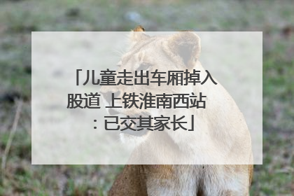 儿童走出车厢掉入股道 上铁淮南西站：已交其家长