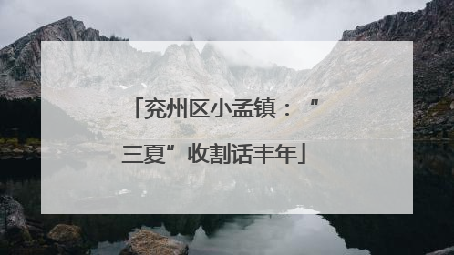 兖州区小孟镇：“三夏”收割话丰年
