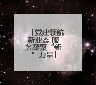党建领航新业态 服务凝聚“新”力量