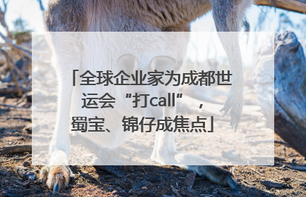 全球企业家为成都世运会“打call”，蜀宝、锦仔成焦点