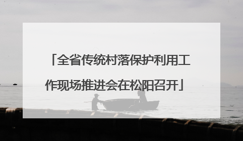 全省传统村落保护利用工作现场推进会在松阳召开