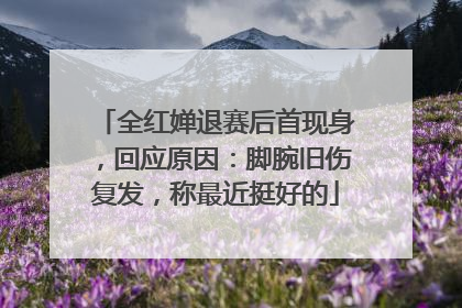 全红婵退赛后首现身，回应原因：脚腕旧伤复发，称最近挺好的