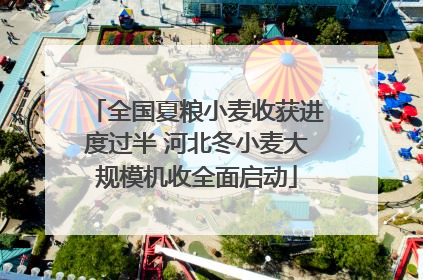 全国夏粮小麦收获进度过半 河北冬小麦大规模机收全面启动