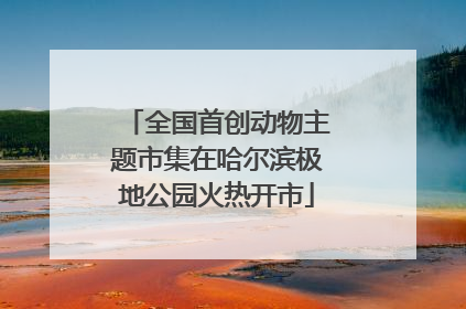全国首创动物主题市集在哈尔滨极地公园火热开市