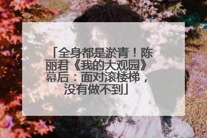 全身都是淤青！陈丽君《我的大观园》幕后：面对滚楼梯，没有做不到