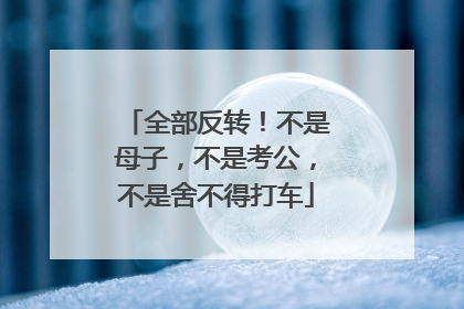 全部反转！不是母子，不是考公，不是舍不得打车